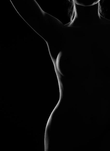 Silueta en blanco y negro de un cuerpo femenino